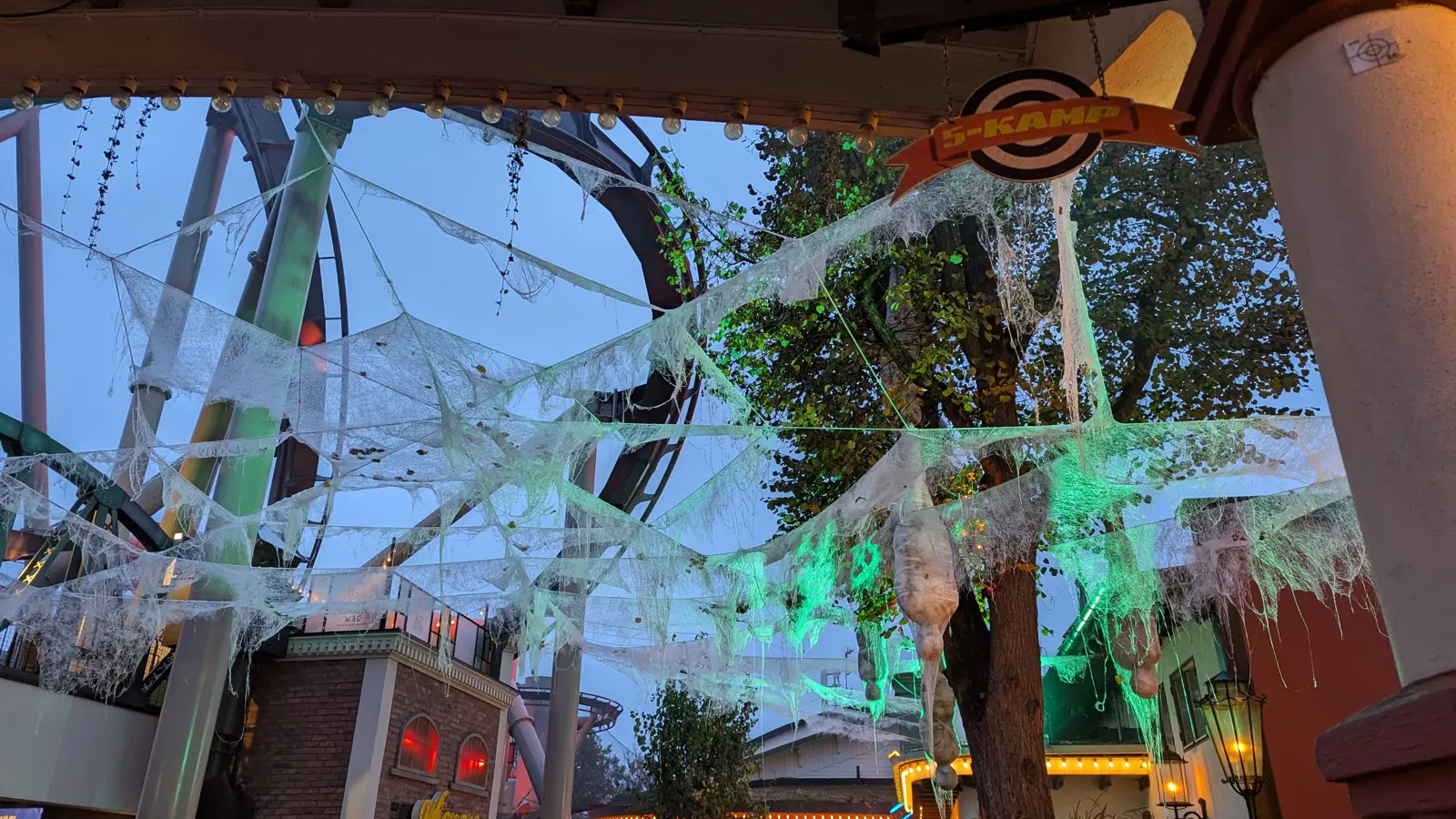  Click to open full size image.