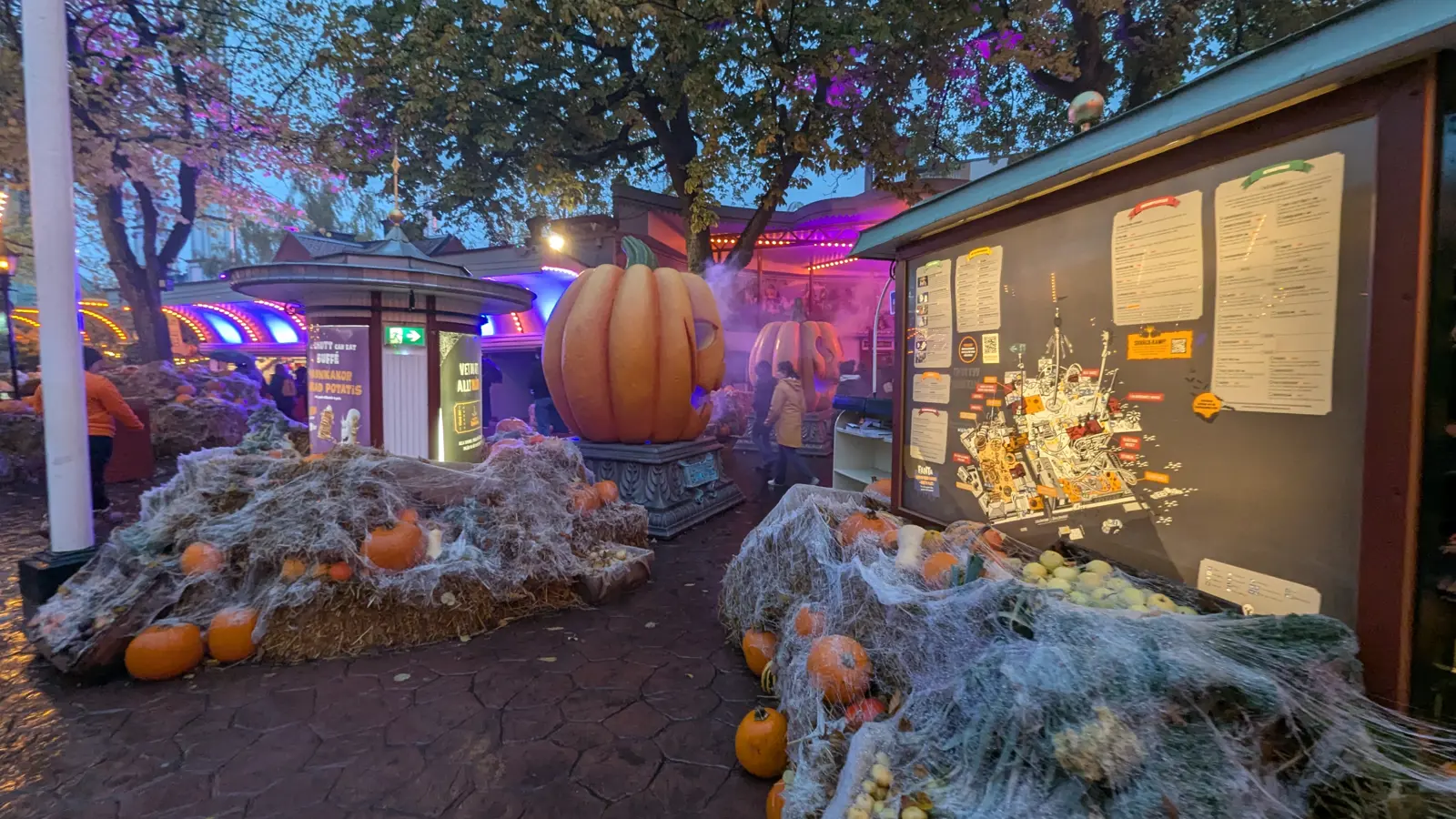  Click to open full size image.